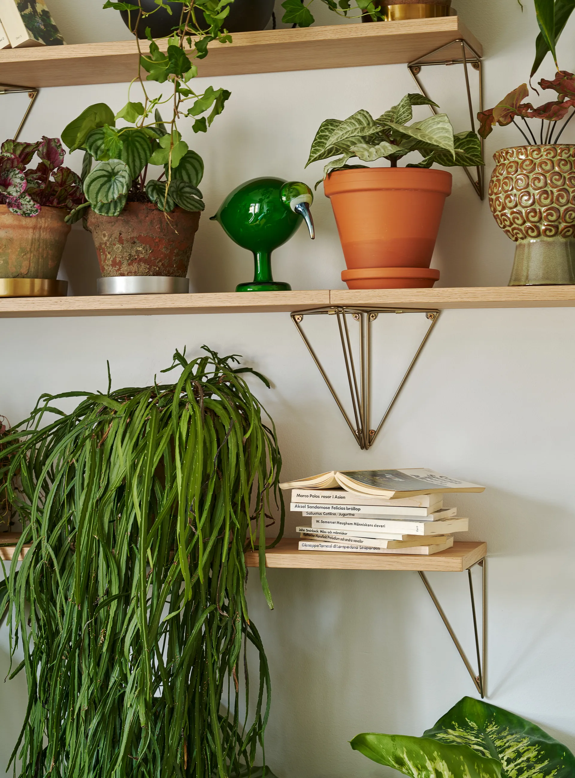 피타고라스 선반 피타고라스 선반, oak Maze | 메이즈