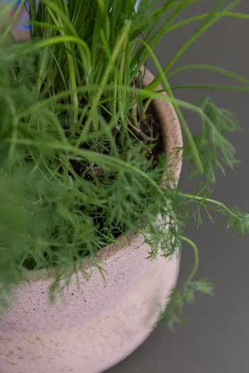 스톤 플라워팟 Ø17 cm - Blush - Mette Ditmer | 매트 딧메르