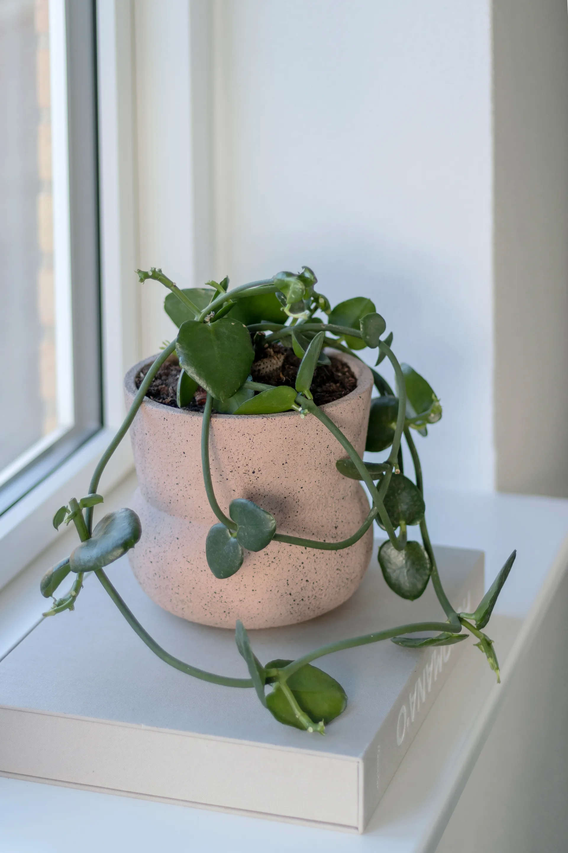 스톤 플라워팟 Ø17 cm, Blush Mette Ditmer | 매트 딧메르