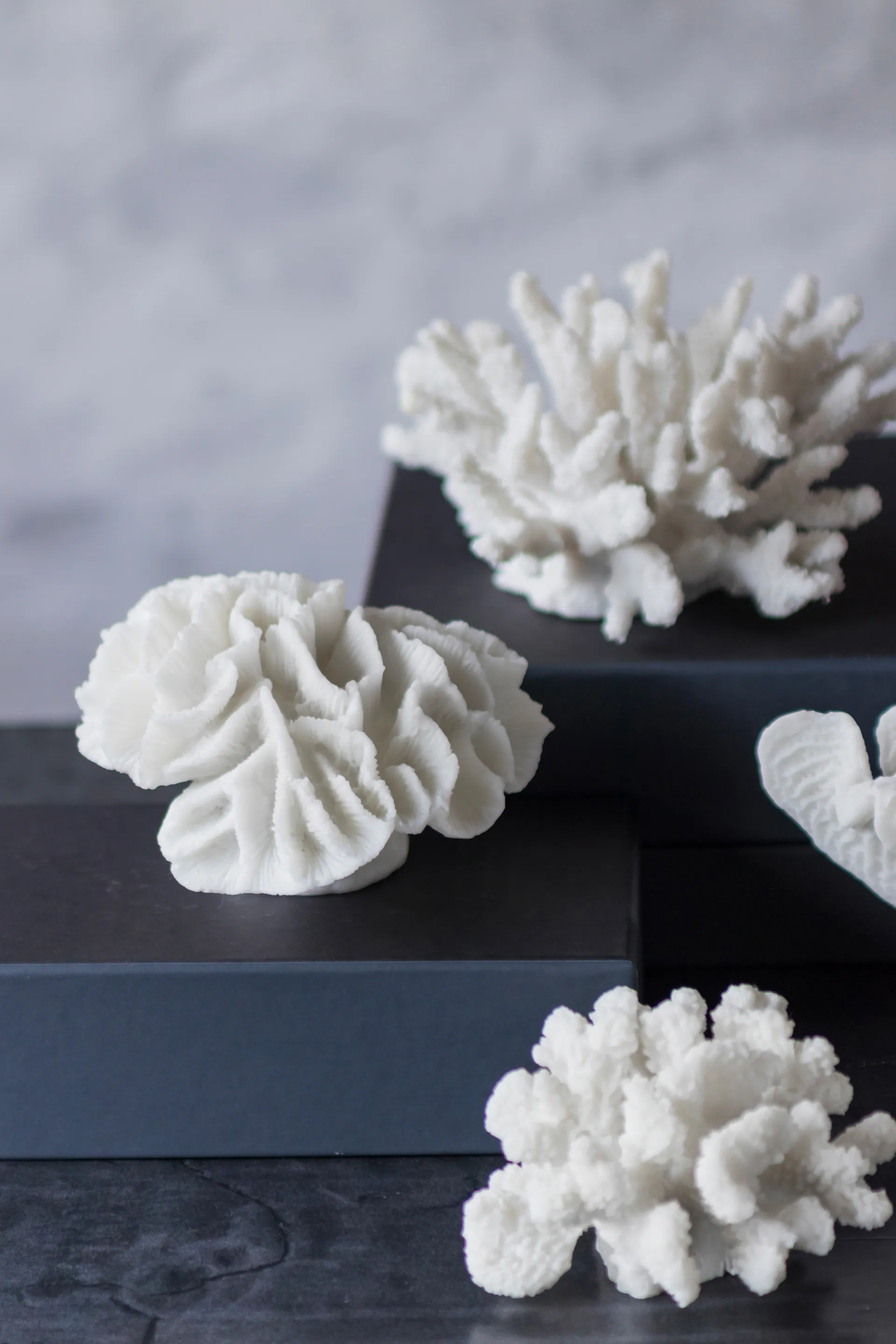 코랄 브랜치스 화이트, Large Mette Ditmer | 매트 딧메르