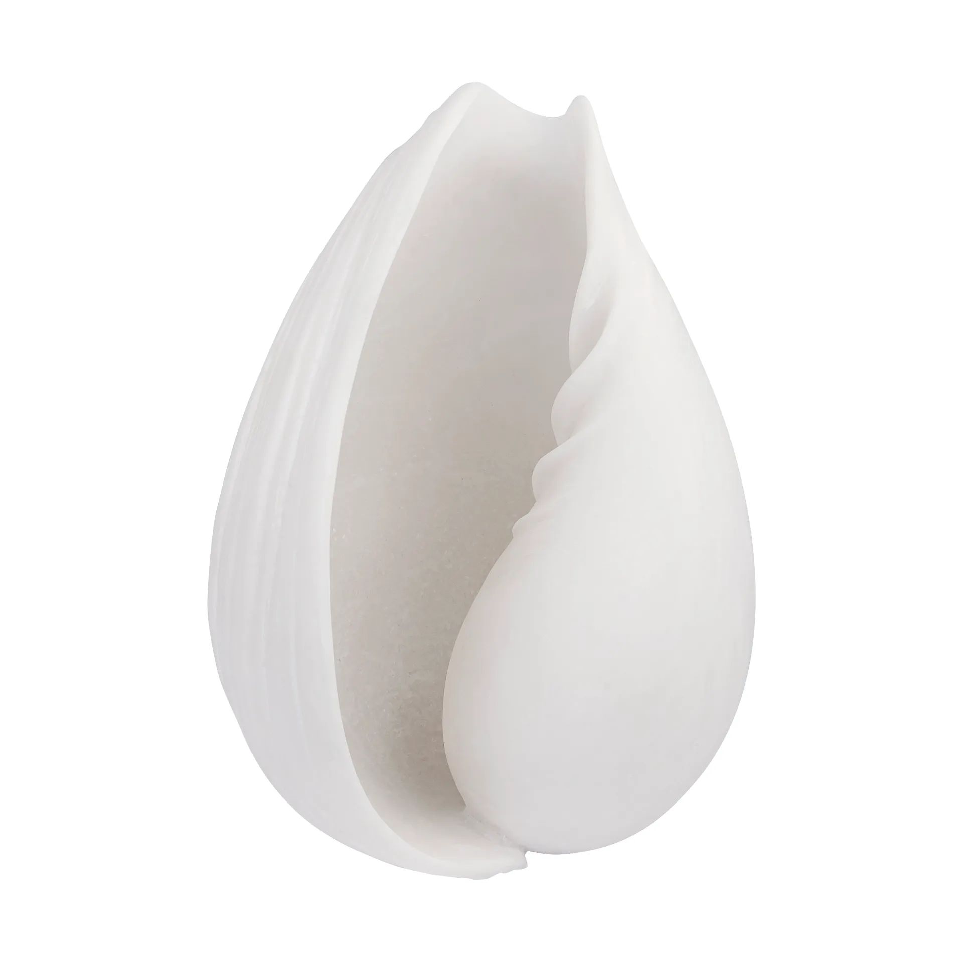 콘치 장식용 쉘, Small Mette Ditmer | 매트 딧메르