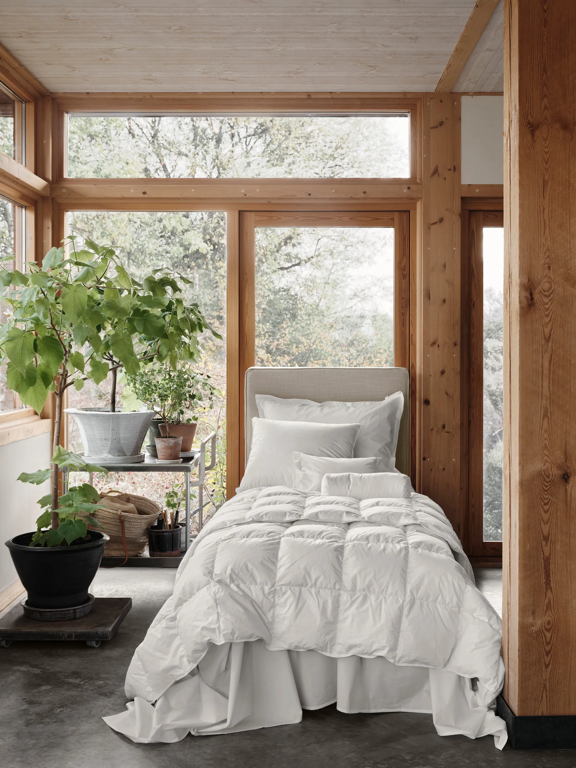 Natura 다운 침구, White, 220x220 cm Mille Notti | 밀레 노티