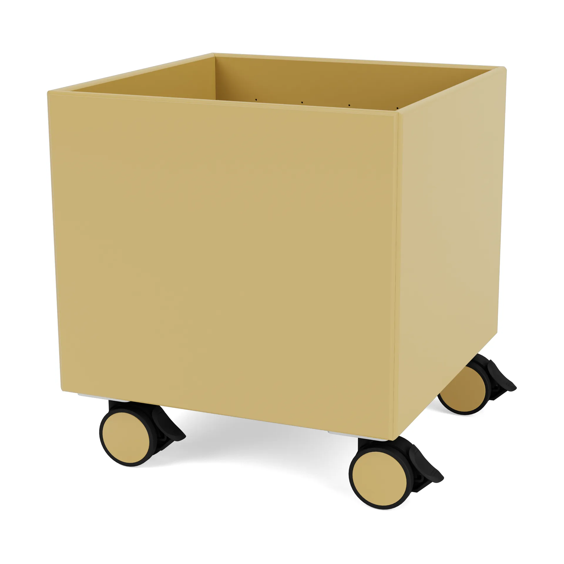 컬러 박스 I – S6161, Cumin Montana | 몬타나