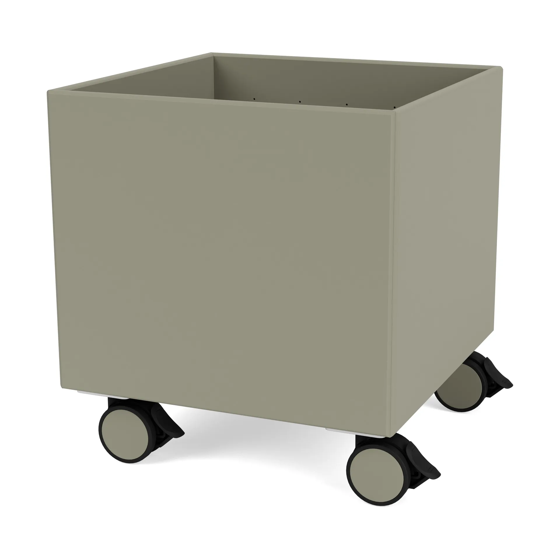 컬러 박스 I – S6161, Fennel Montana | 몬타나