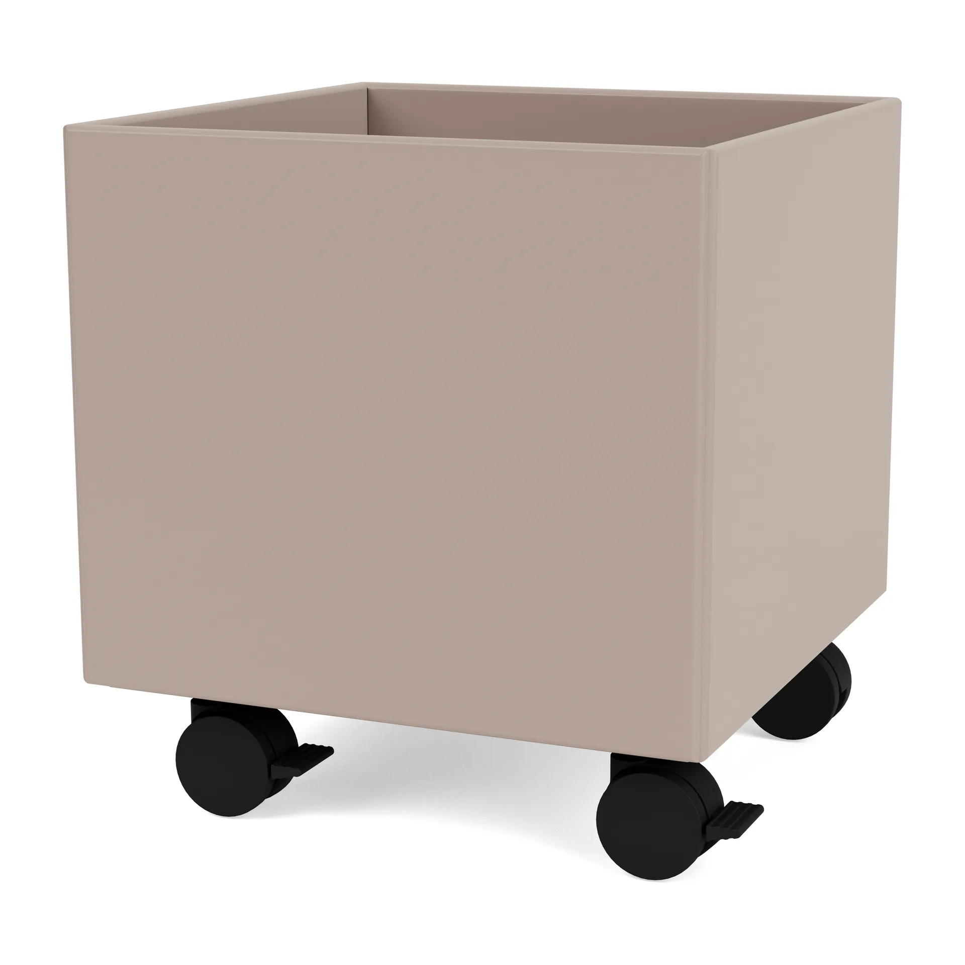 컬러 박스 I – S6161, Mushroom Montana | 몬타나