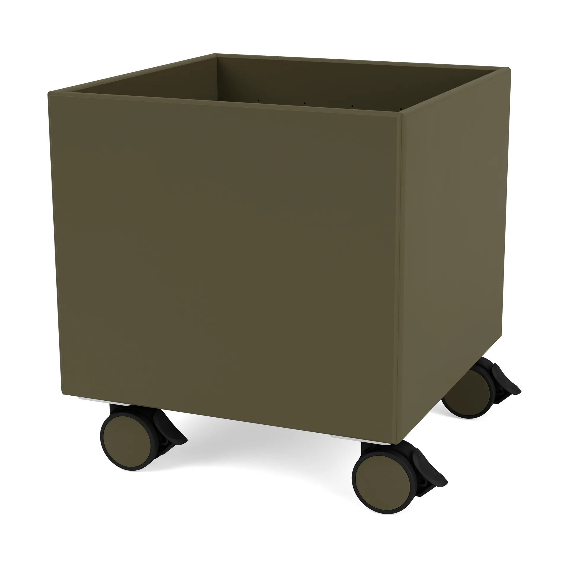 컬러 박스 I – S6161, Oregano Montana | 몬타나