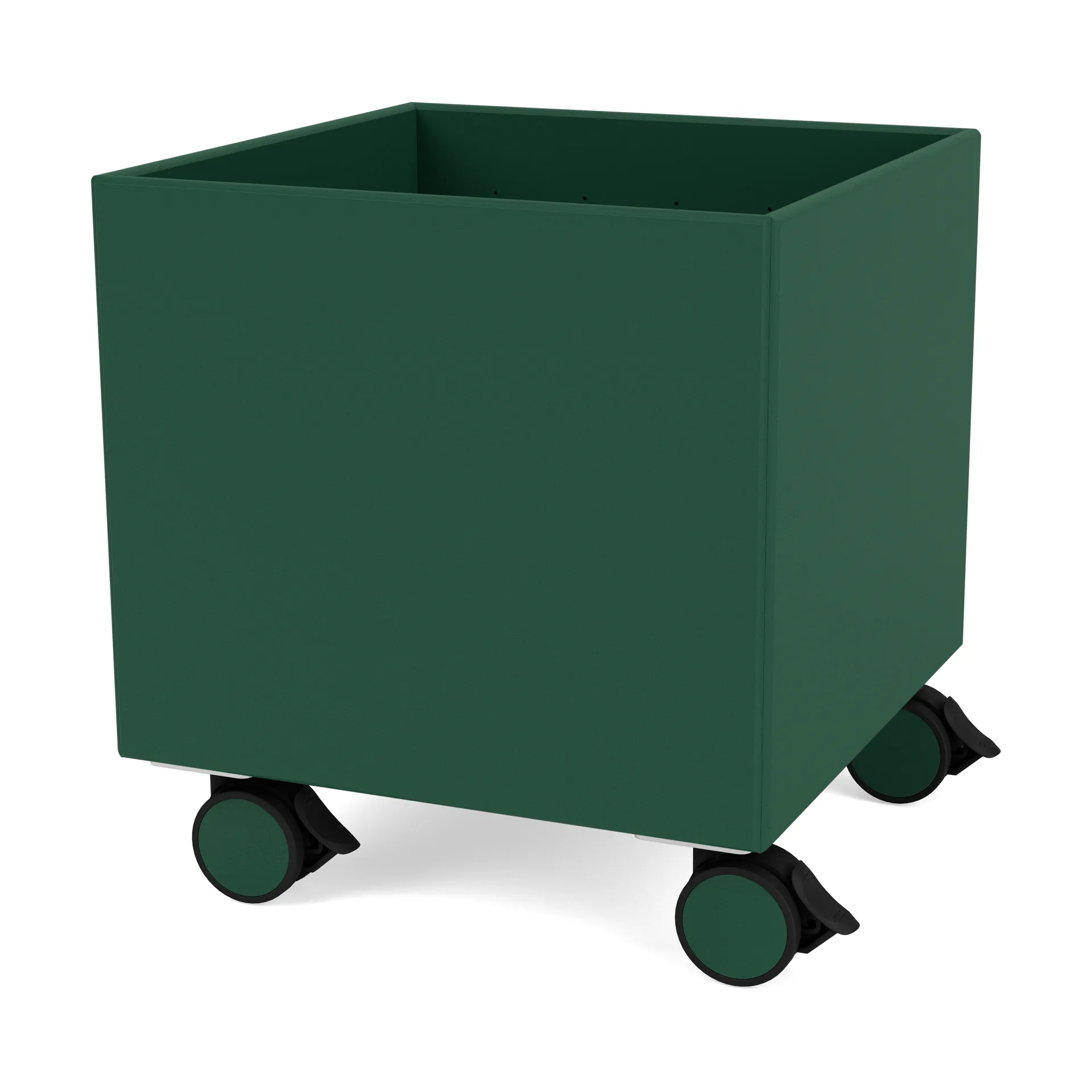 컬러 박스 I – S6161, Pine Montana | 몬타나