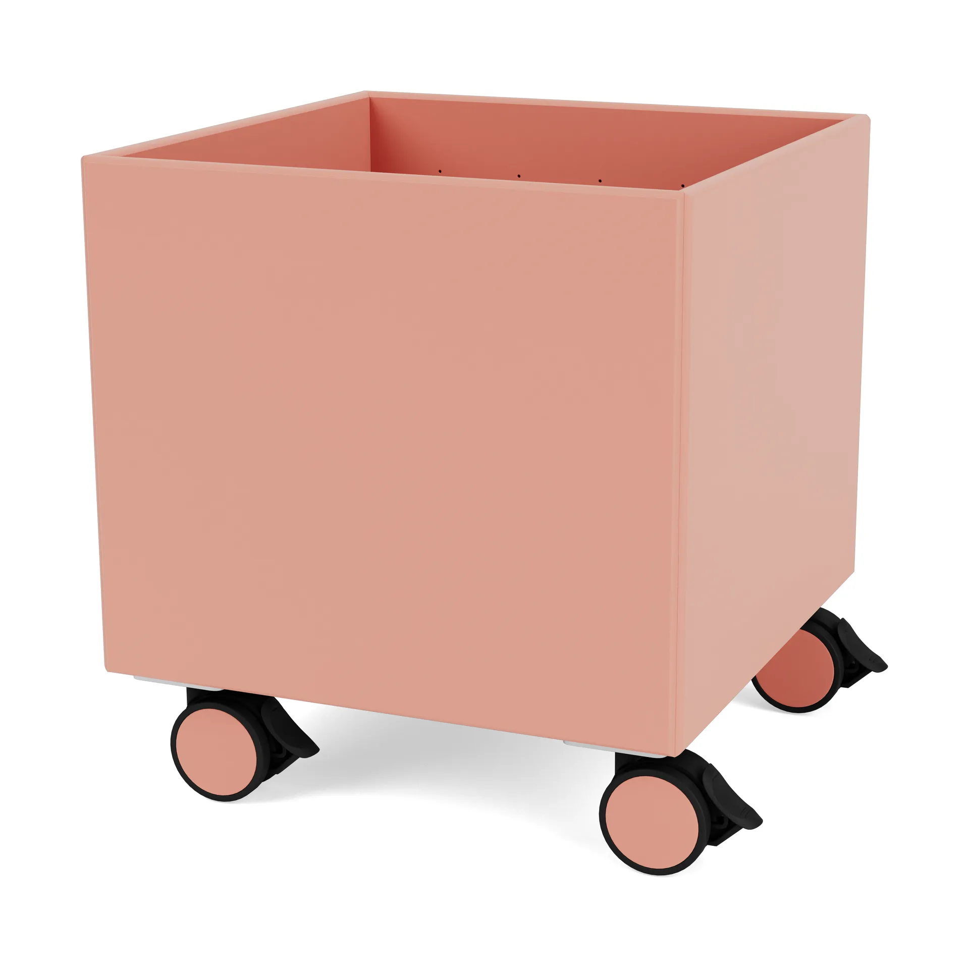 컬러 박스 I – S6161, Rhubarb Montana | 몬타나