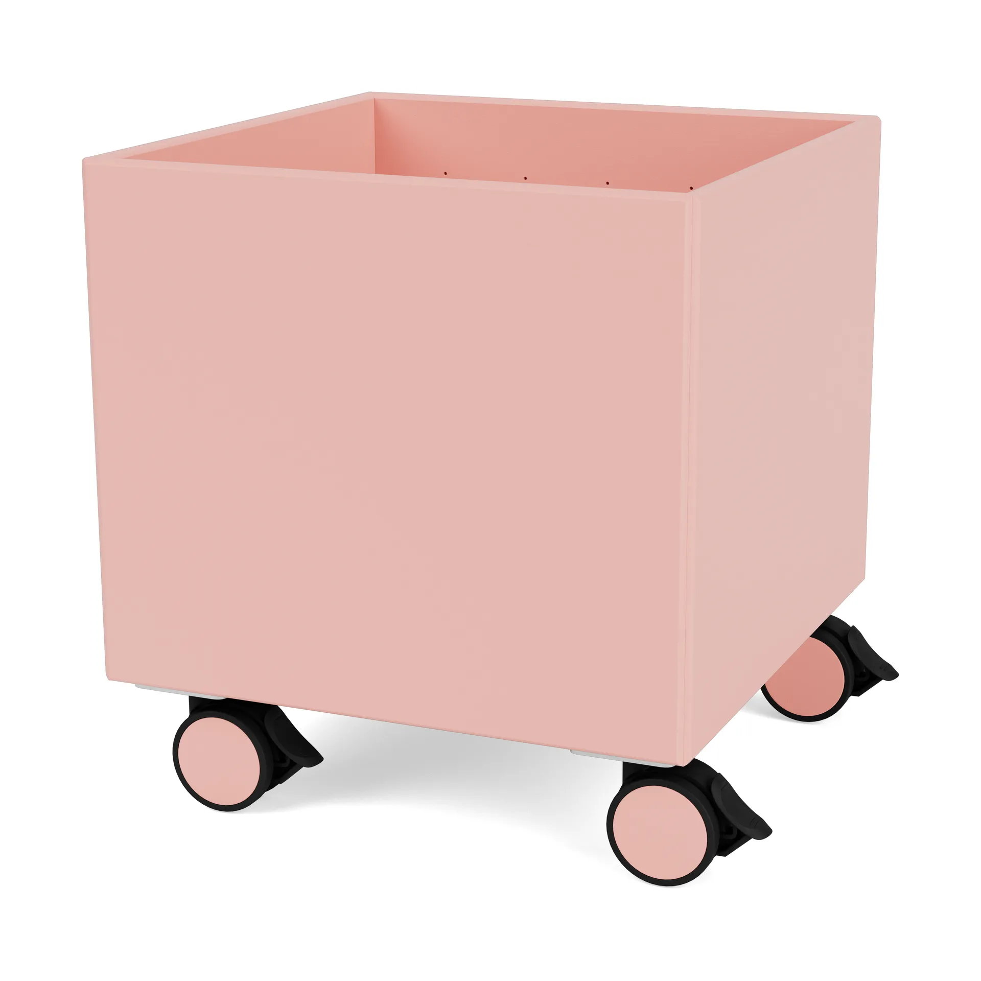 컬러 박스 I – S6161, Ruby Montana | 몬타나