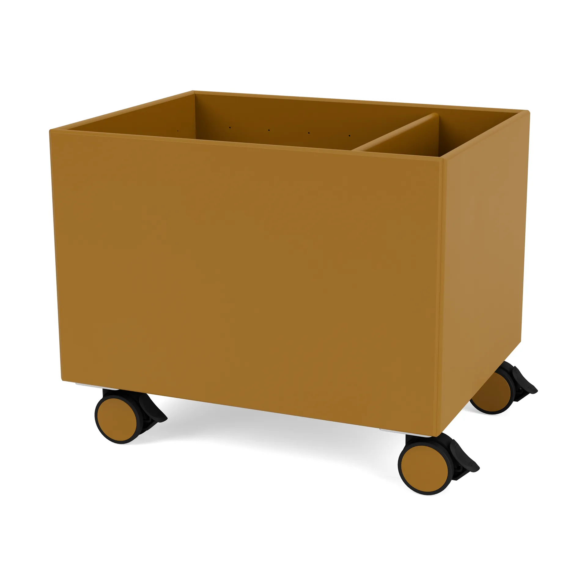 컬러 박스 II, Amber Montana | 몬타나