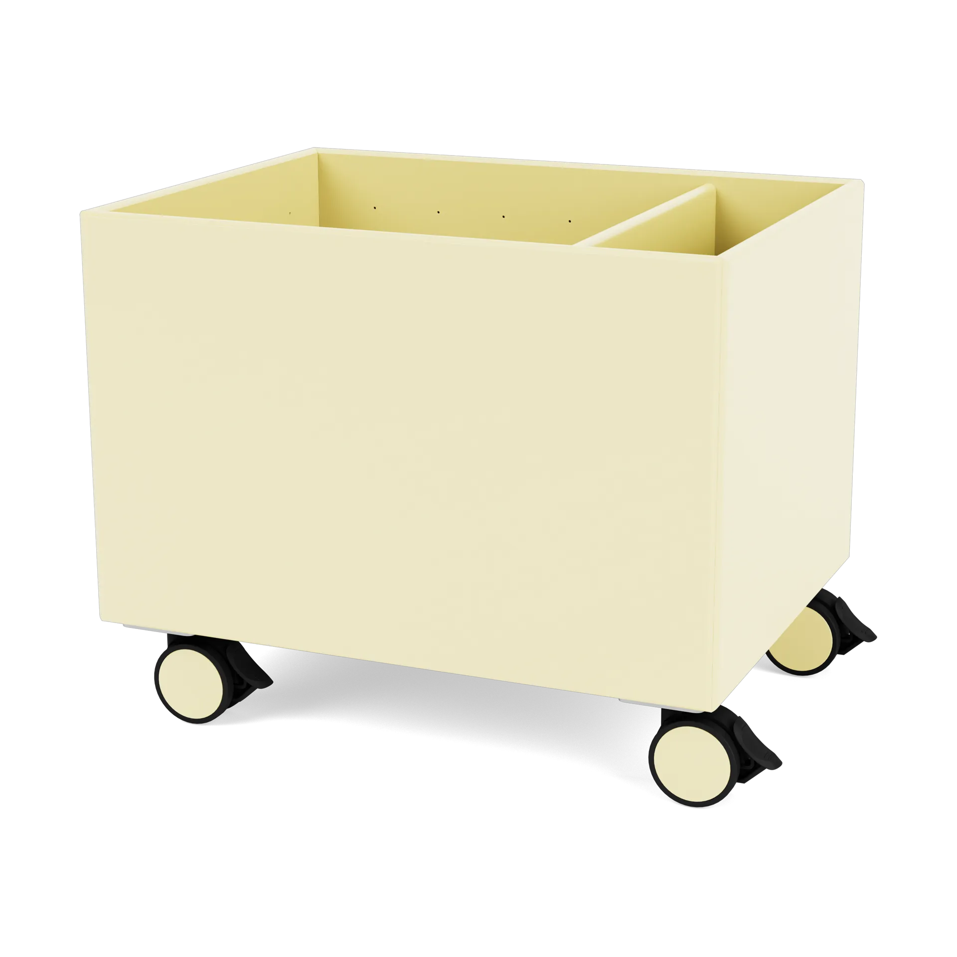 컬러 박스 II, Camomile Montana | 몬타나