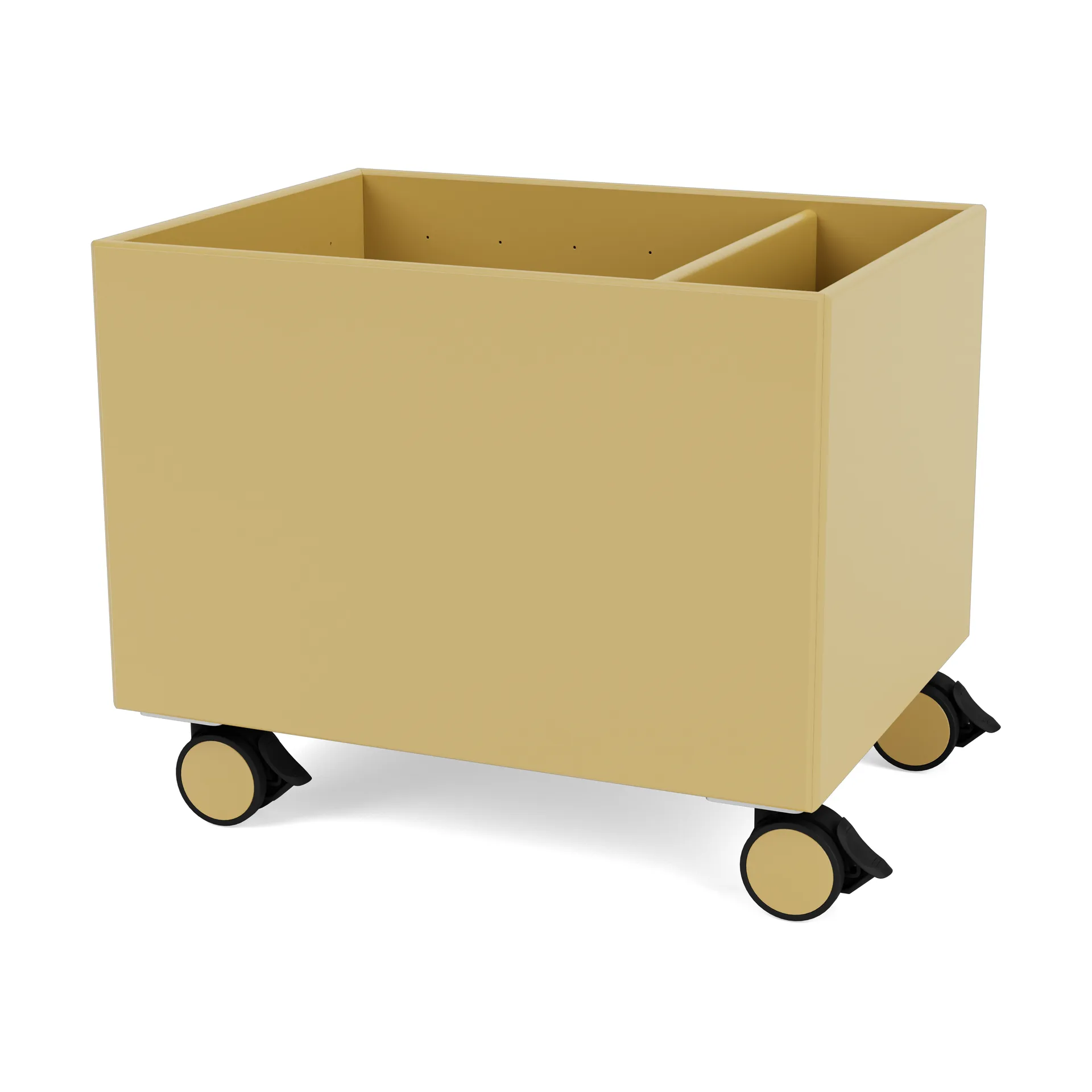 컬러 박스 II, Cumin Montana | 몬타나