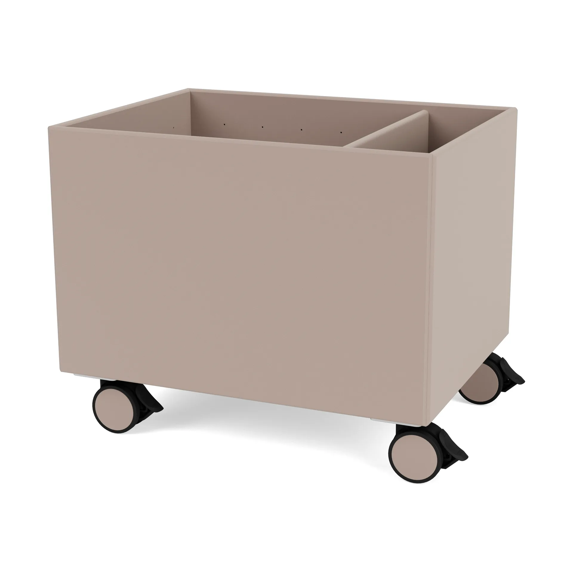 컬러 박스 II, Mushroom Montana | 몬타나