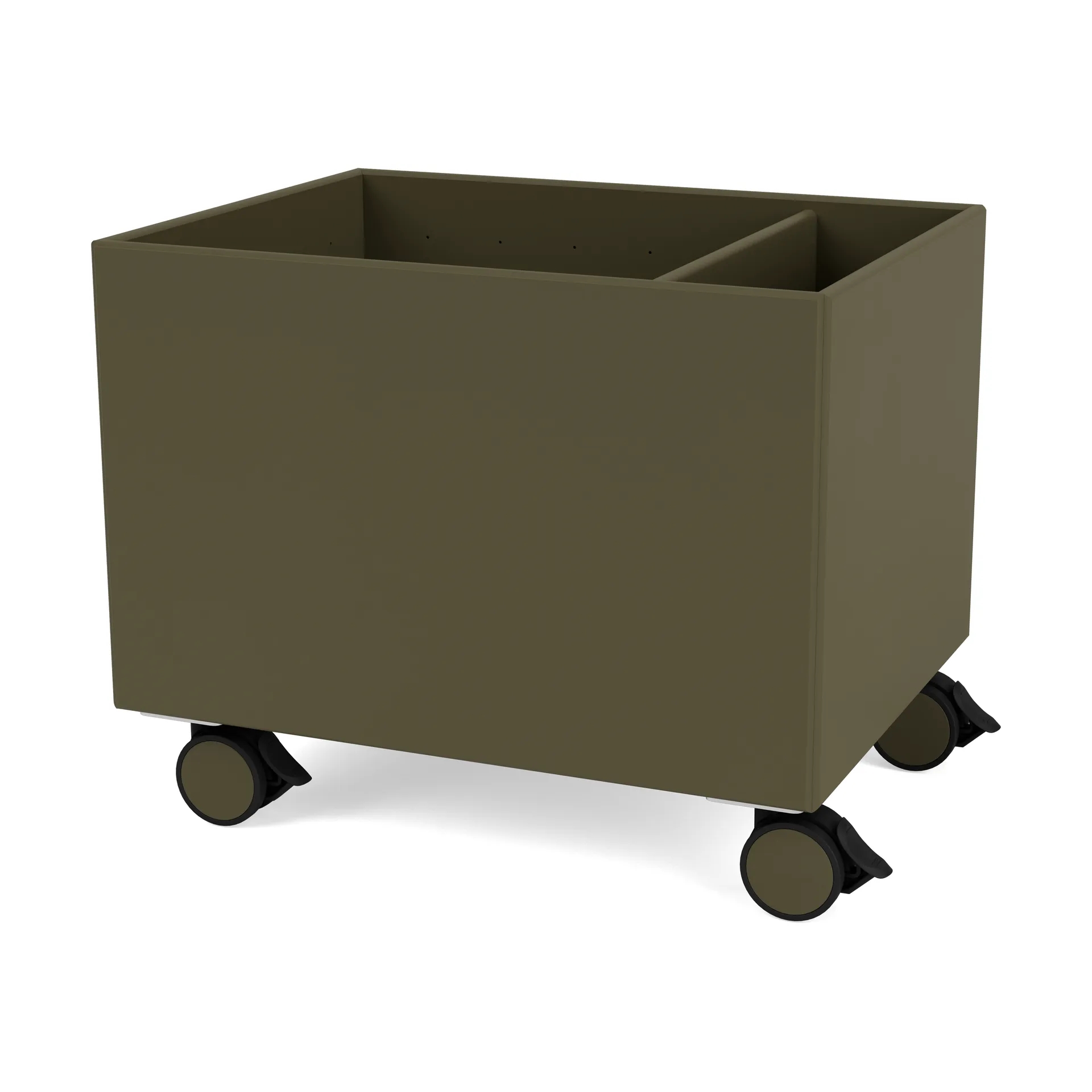 컬러 박스 II, Oregano Montana | 몬타나