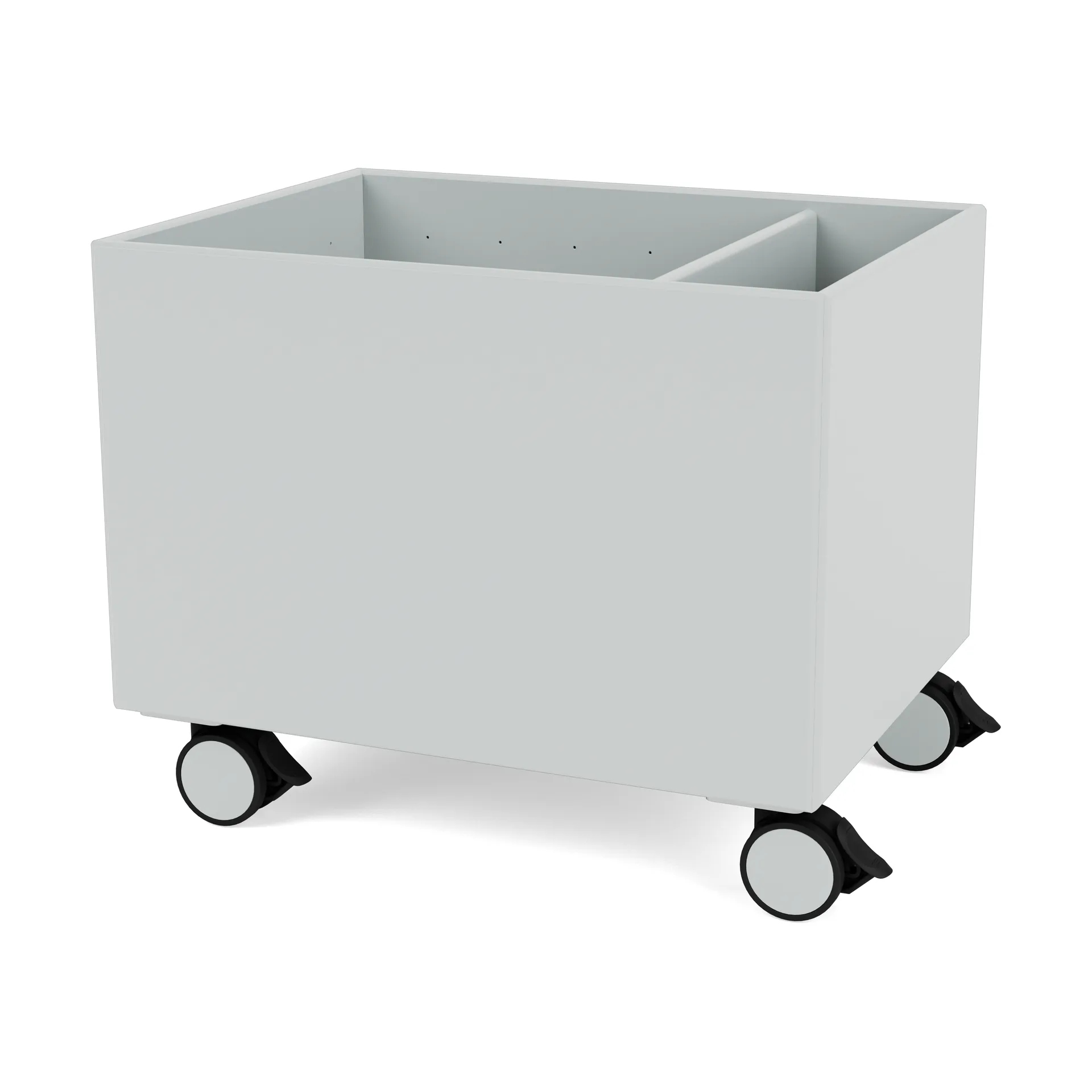 컬러 박스 II, Oyster Montana | 몬타나