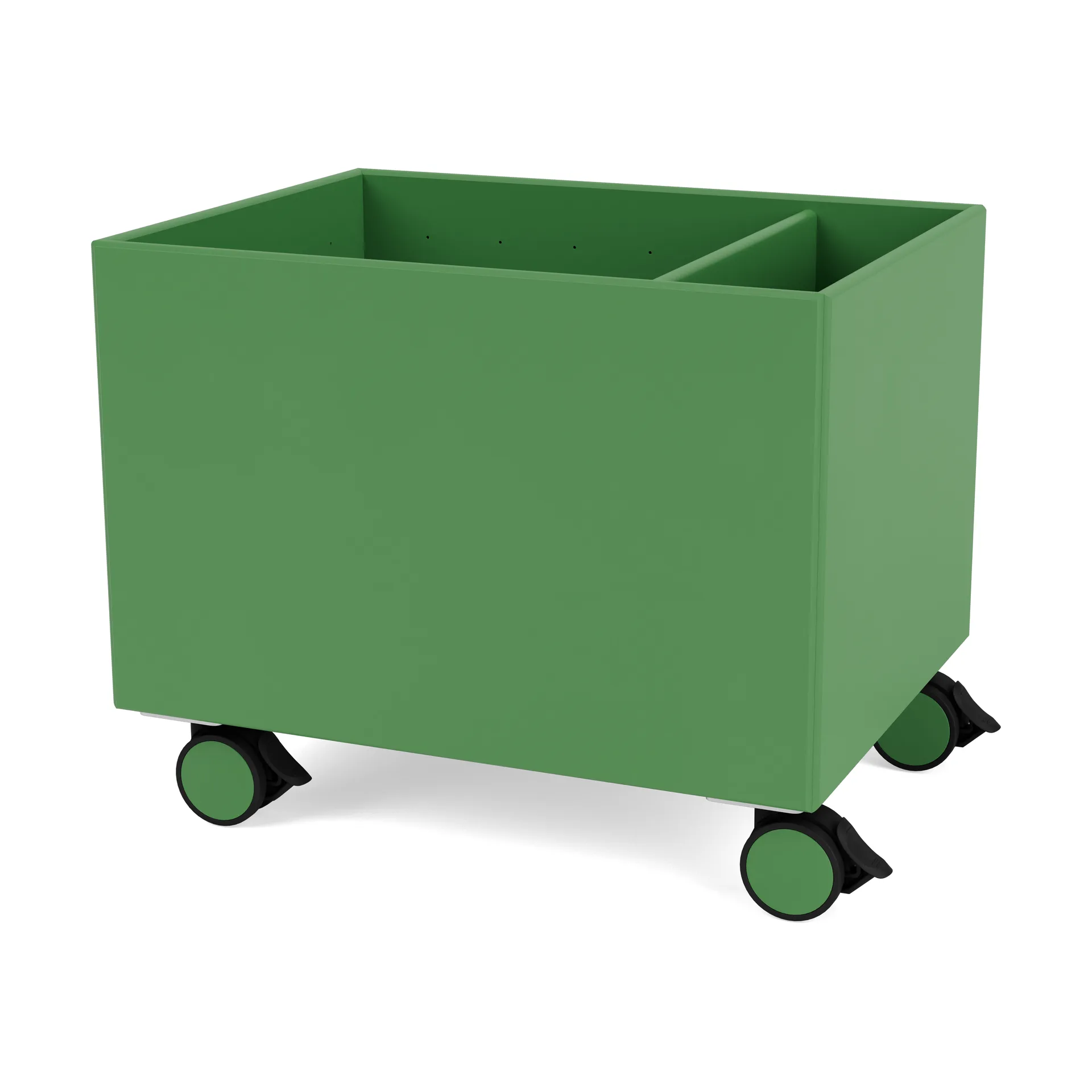 컬러 박스 II, Parsley Montana | 몬타나