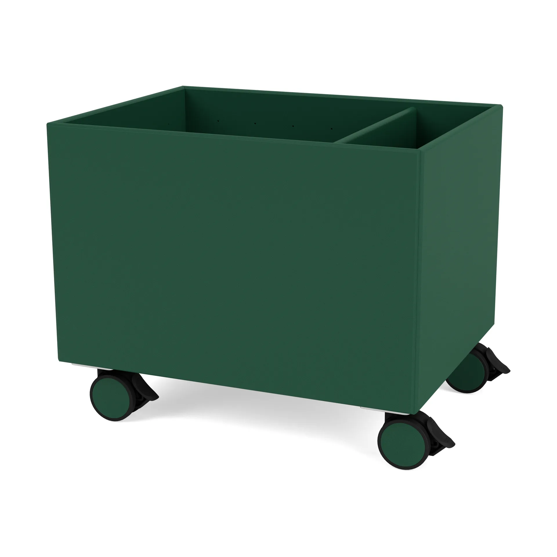 컬러 박스 II, Pine Montana | 몬타나