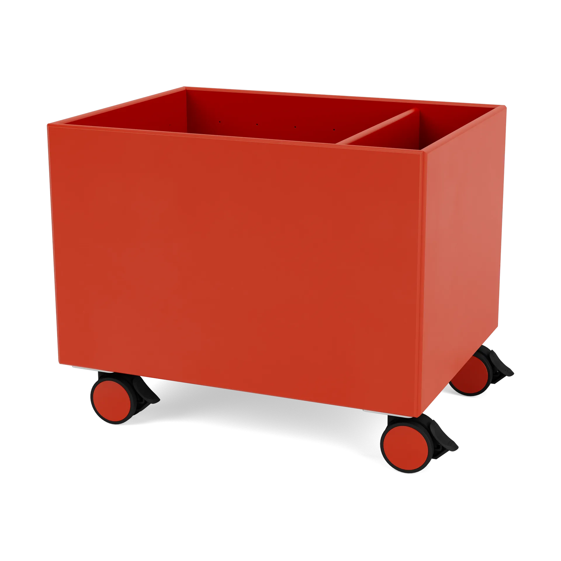 컬러 박스 II, Rosehip Montana | 몬타나