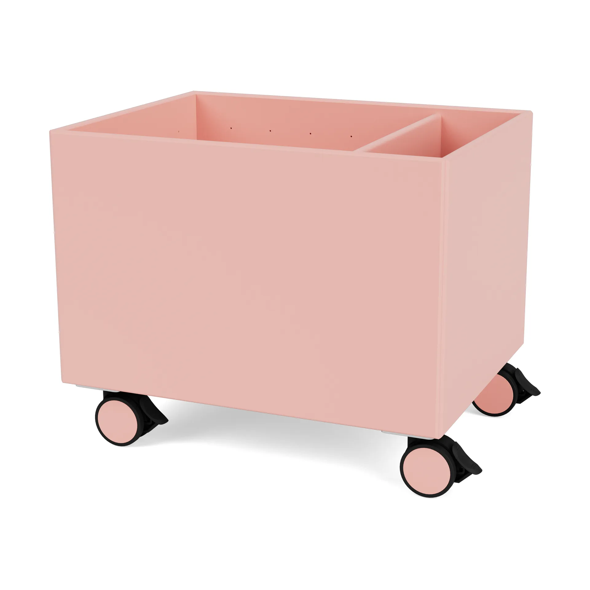 컬러 박스 II, Ruby Montana | 몬타나