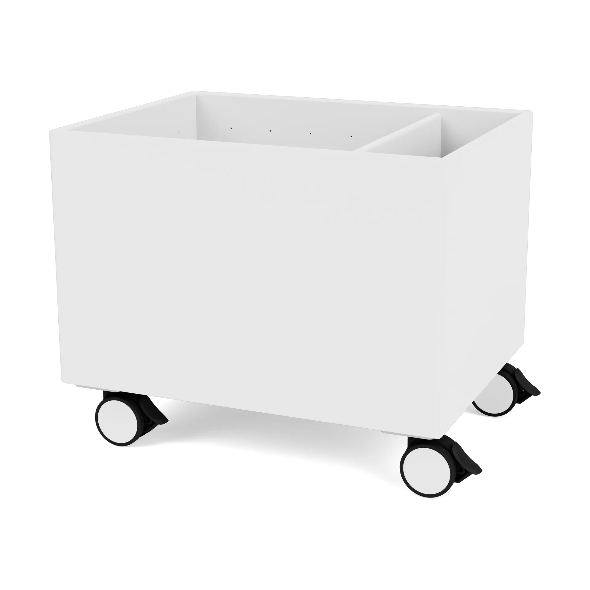 컬러 박스 II, Snow Montana | 몬타나