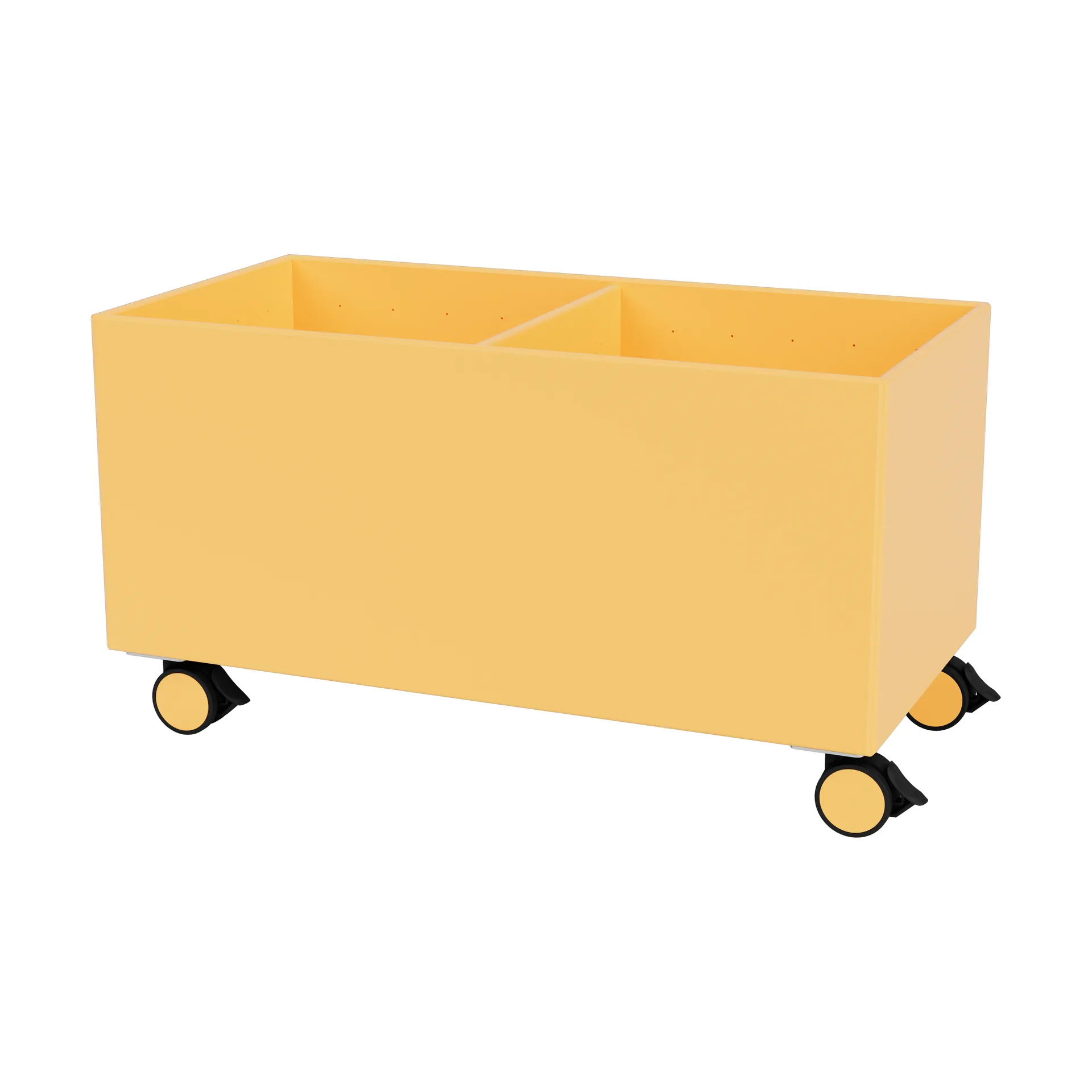 컬러 박스 III, Acacia Montana | 몬타나