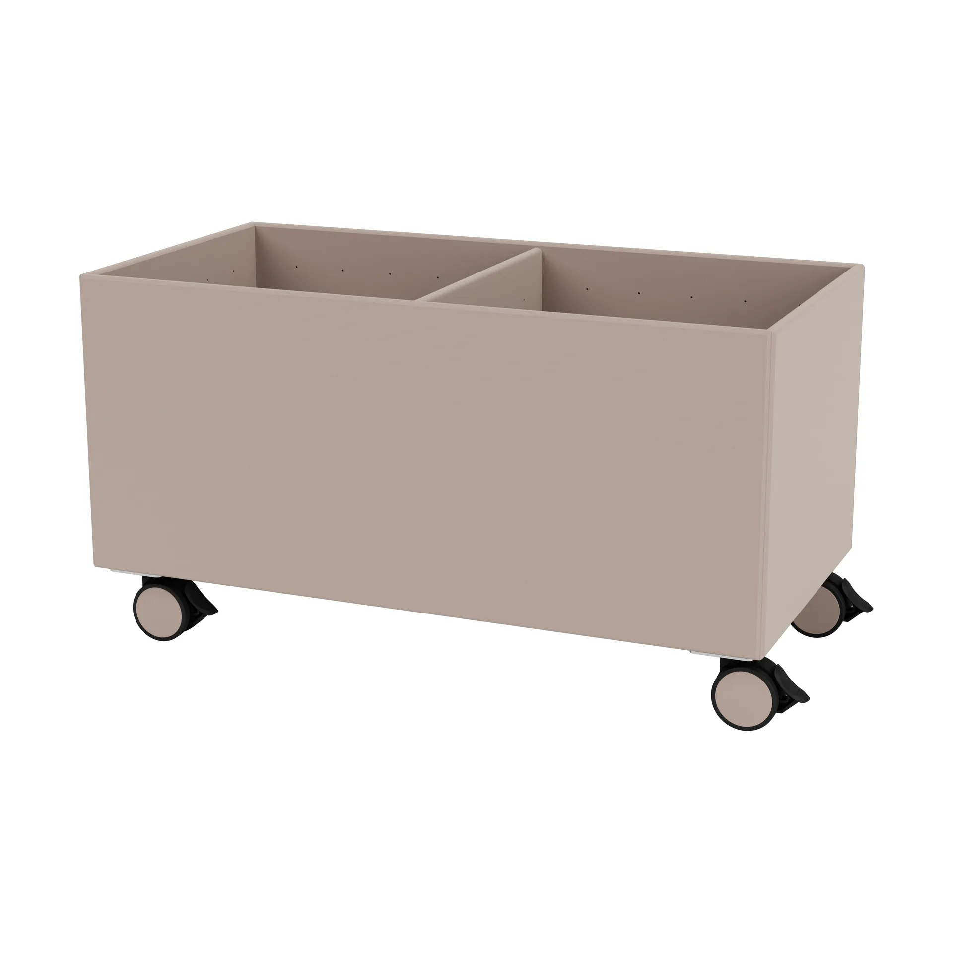 컬러 박스 III, Mushroom Montana | 몬타나