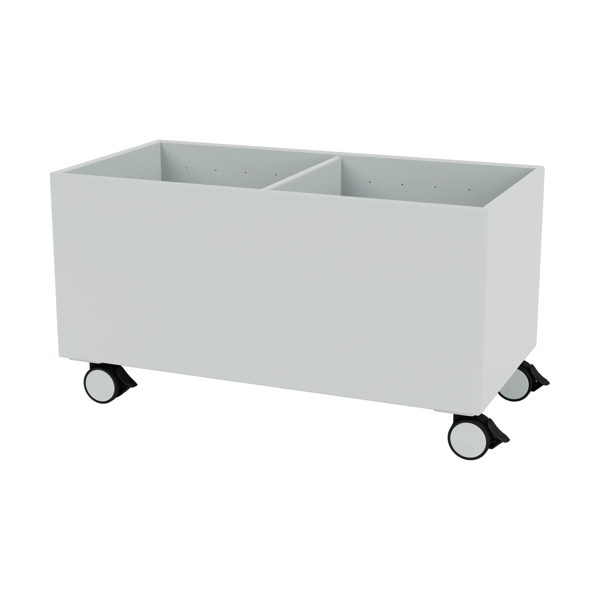 컬러 박스 III, Oyster Montana | 몬타나