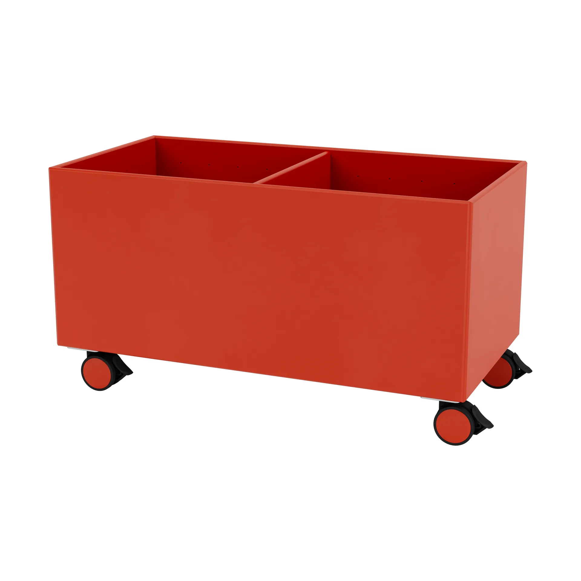 컬러 박스 III, Rosehip Montana | 몬타나