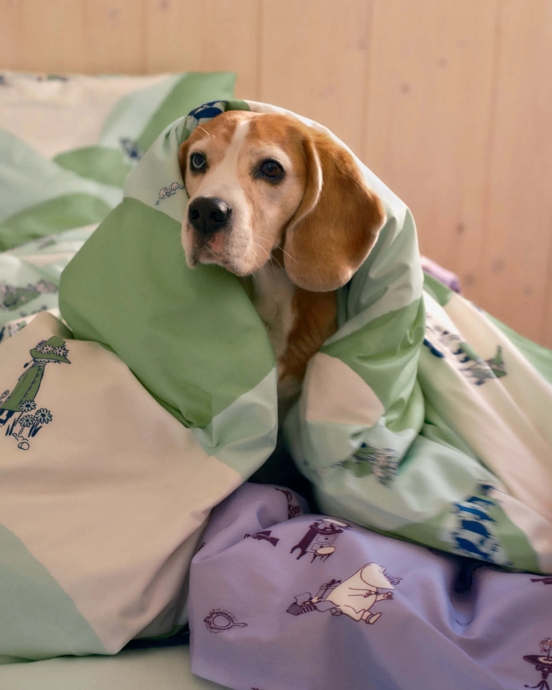 무민 침구 세트 150x210 cm, Snufkin Moomin Arabia