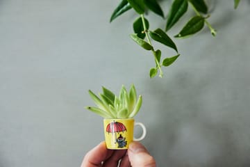 무민 미니 머그 6개 세트 써드 클래식 - Multi - Moomin Arabia | 무민 아라비아