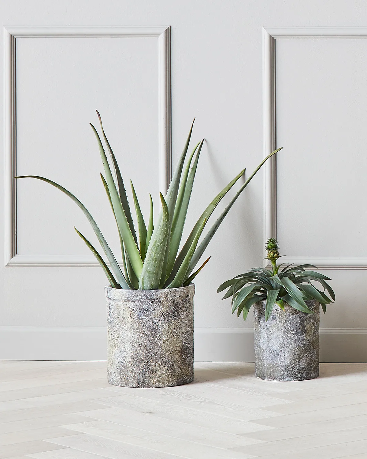 트레져 화분 2개 세트, Ø18 and Ø23 cm MUUBS | 뭅스