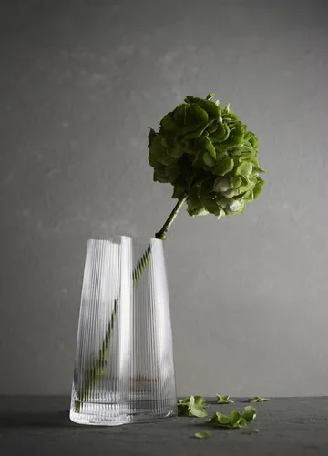 라이프 화병 - Clear, 26 cm - MUUBS | 뭅스