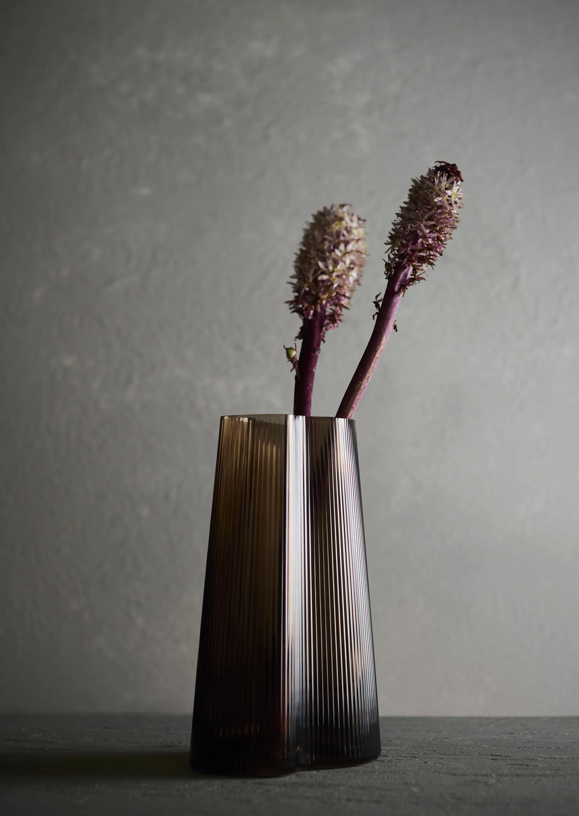 라이프 화병, Smoked brown, 26 cm MUUBS | 뭅스