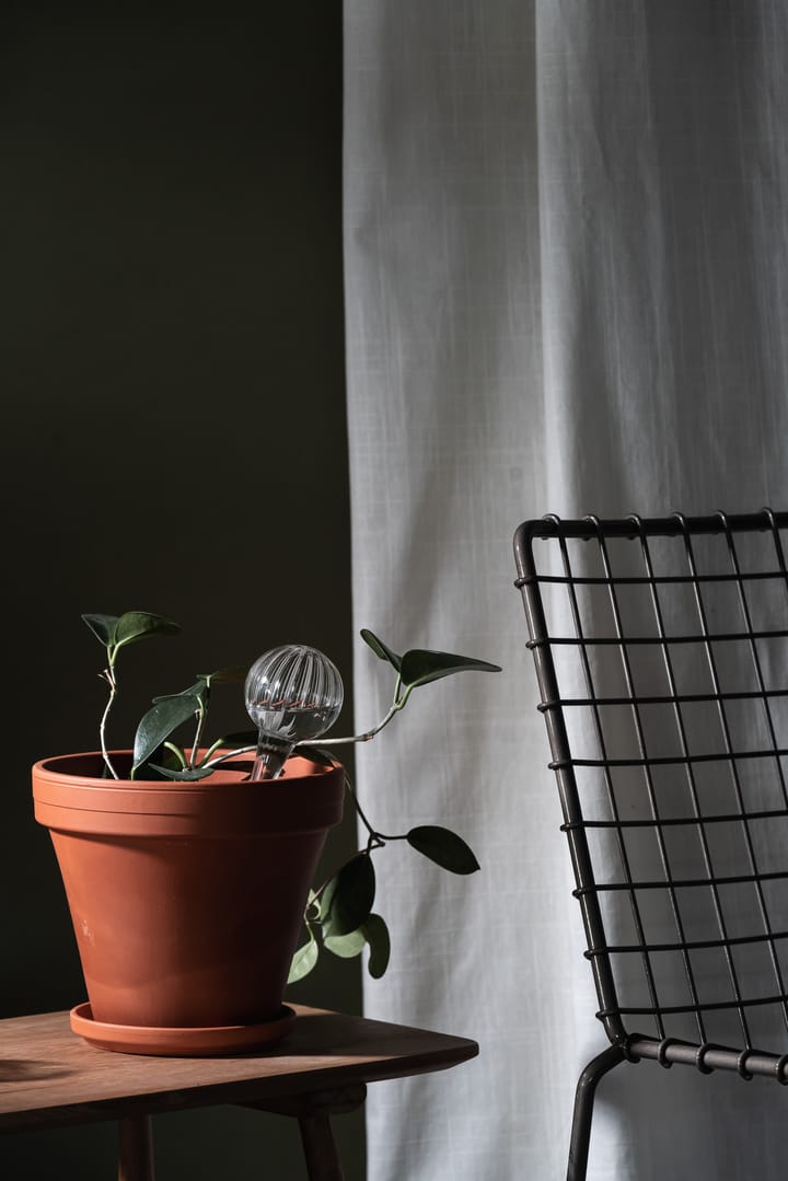 뮬라 화분 자동 급수기 15 cm, Clear Muurla | 뮬라