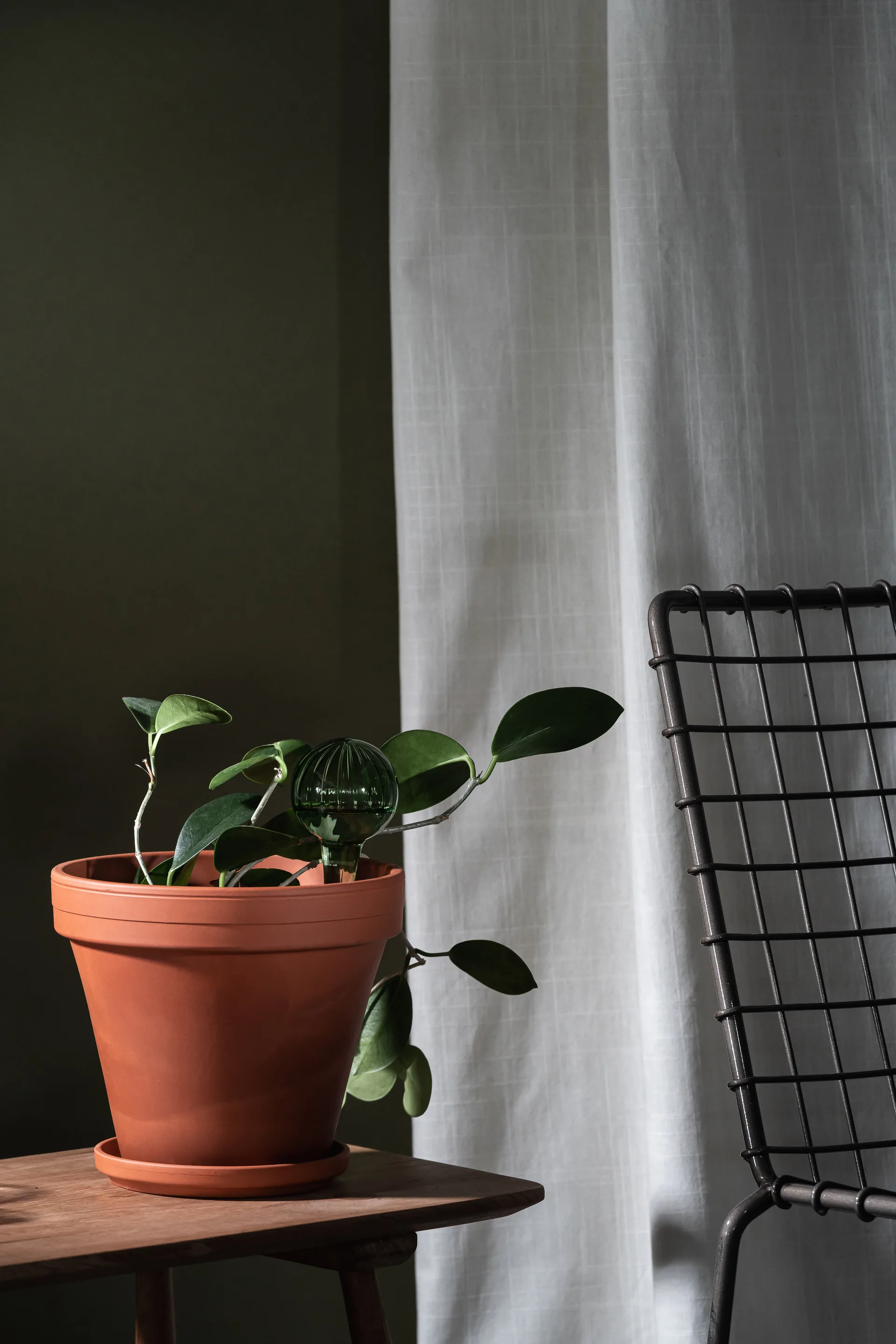 뮬라 화분 자동 급수기 15 cm, Green Muurla | 뮬라