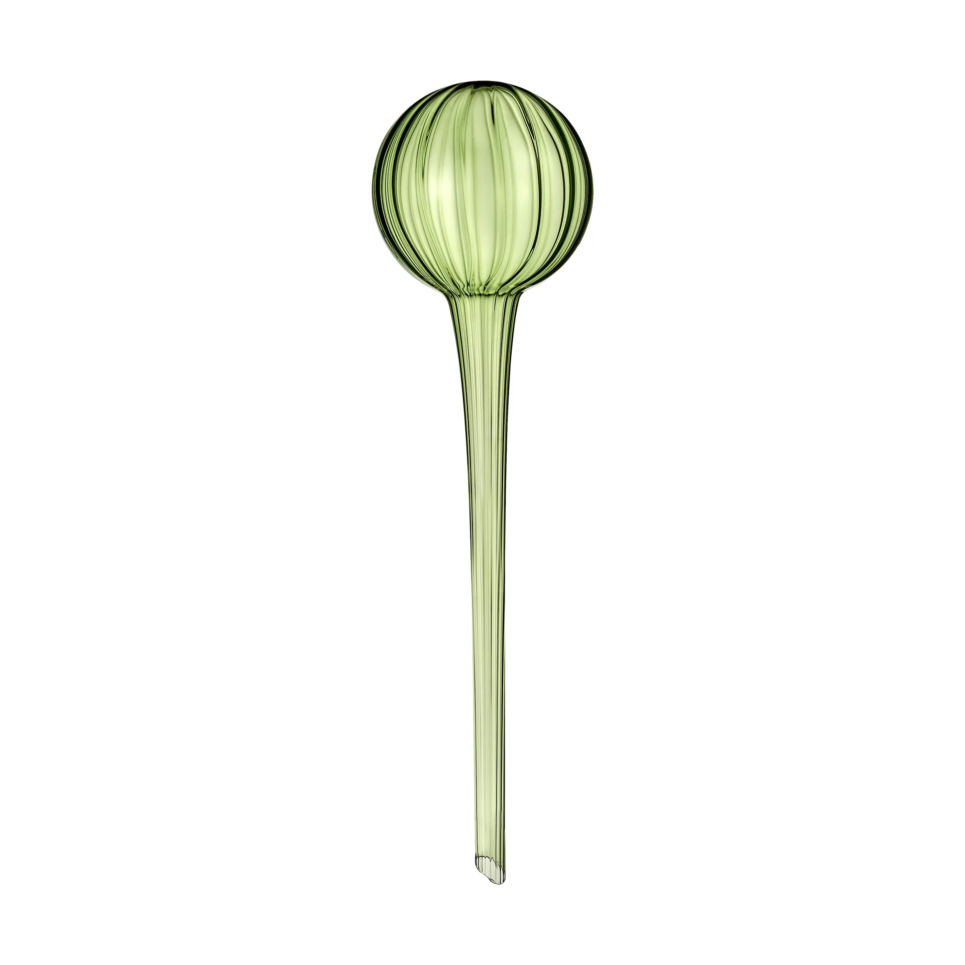 뮬라 화분 자동 급수기 28 cm, Green Muurla | 뮬라