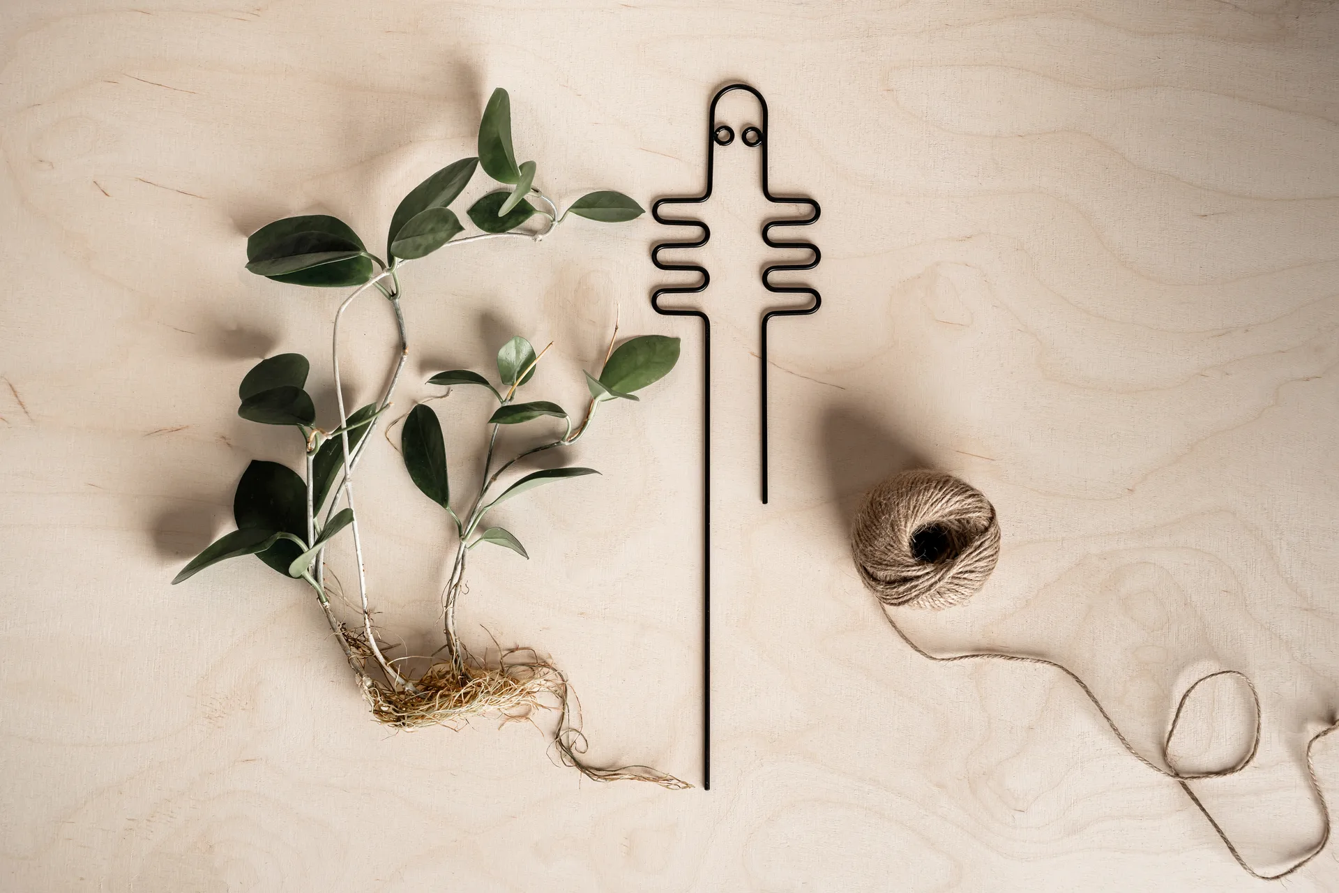 해티패트너 식물 지지대, Black Muurla | 뮬라