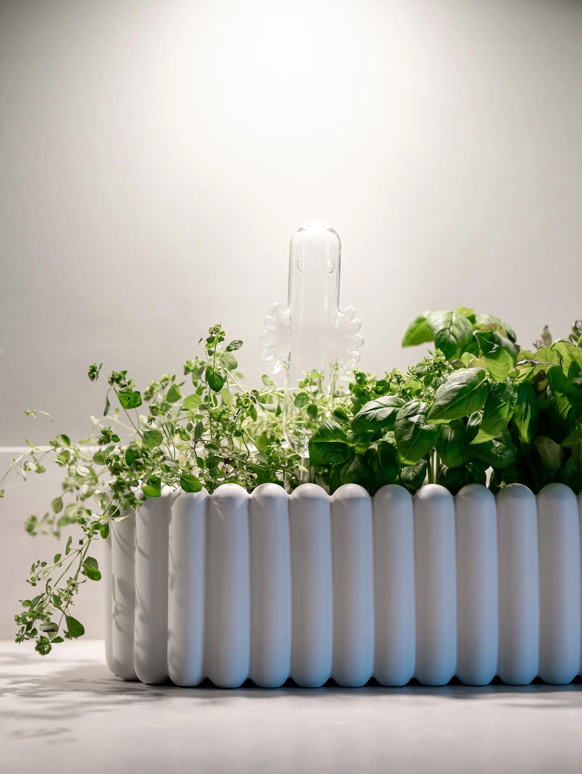 해티패트너 화분 자동 급수기, Transparent Muurla | 뮬라