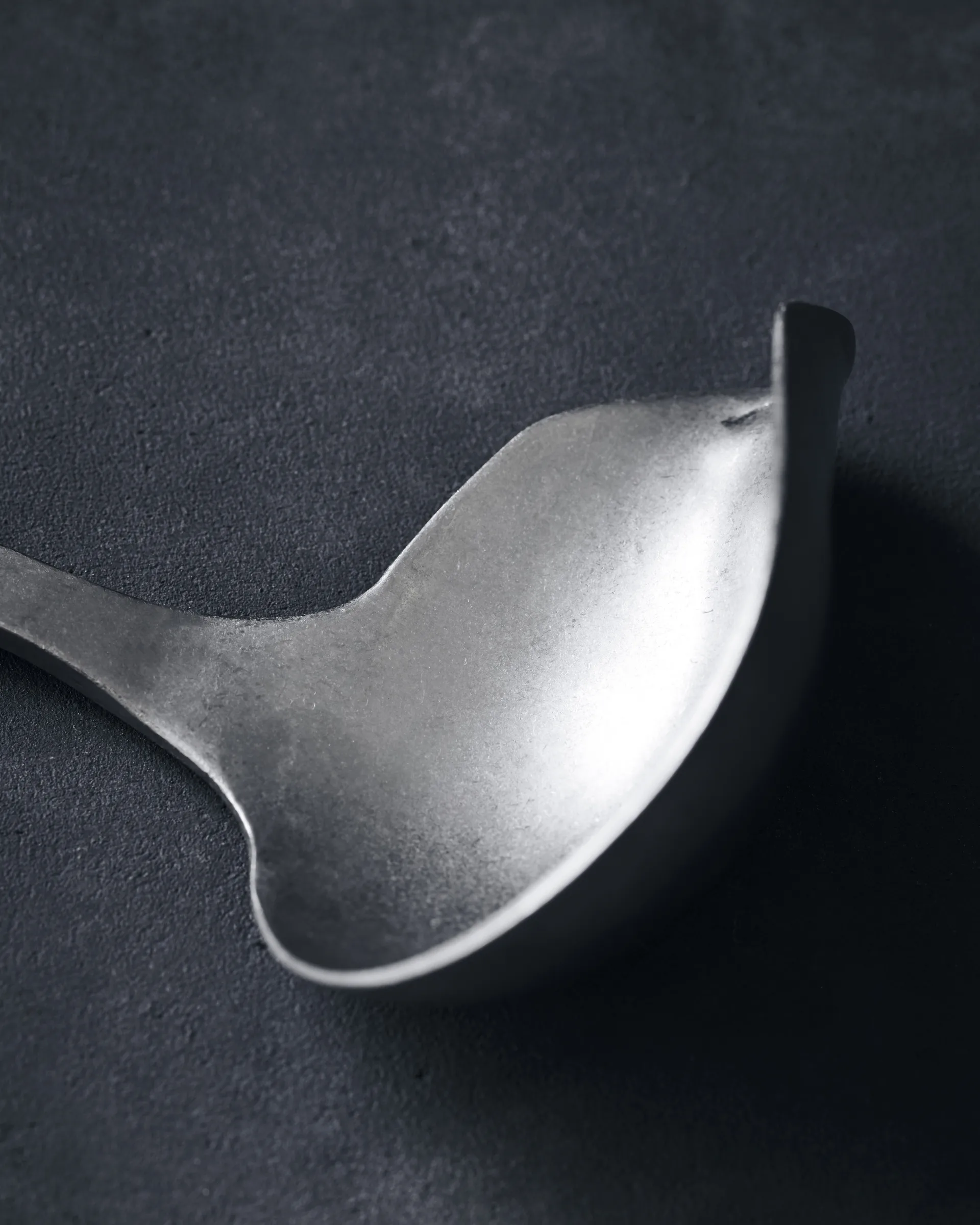 니콜라스 바헤 다용도 데일리 국자 스테인레스 스틸, 25 cm Nicolas Vahé | 니콜라스 바헤