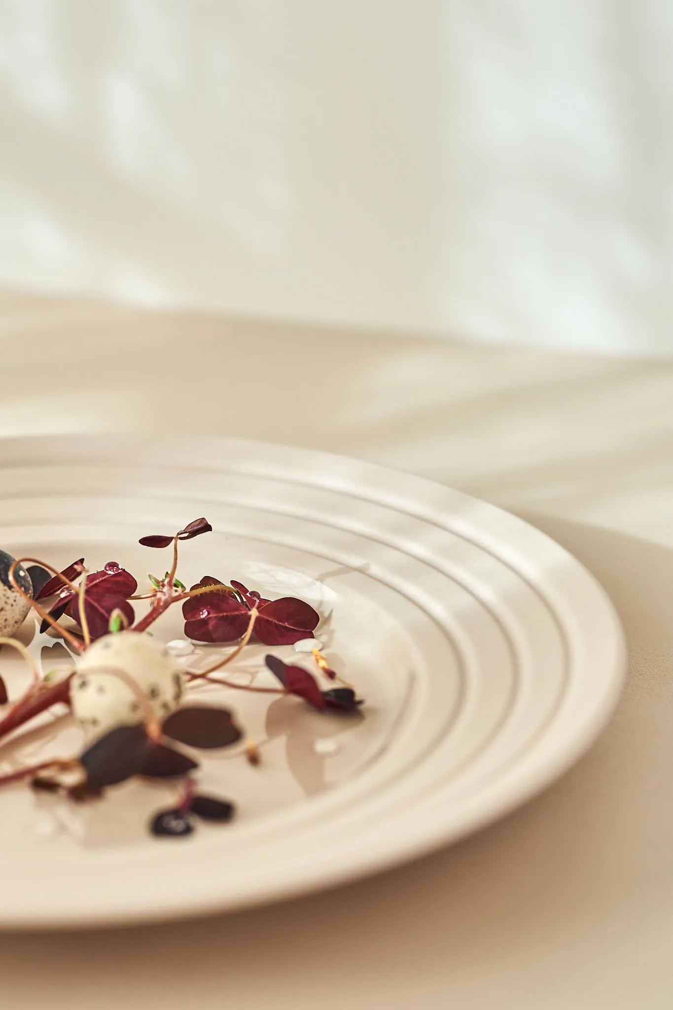 라인즈 접시 Ø27 cm, beige NJRD | 니오르