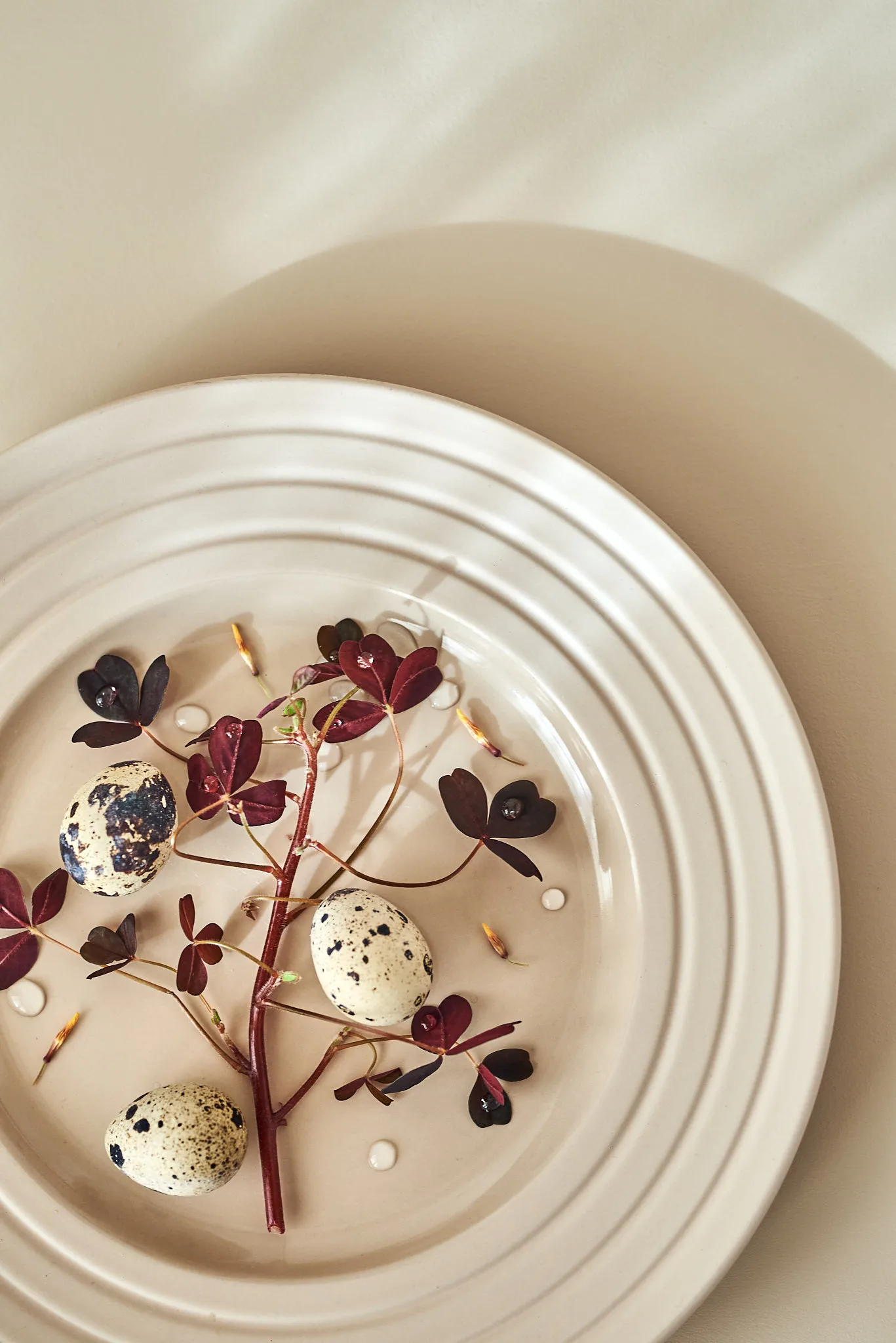 라인즈 접시 Ø27 cm, beige NJRD | 니오르