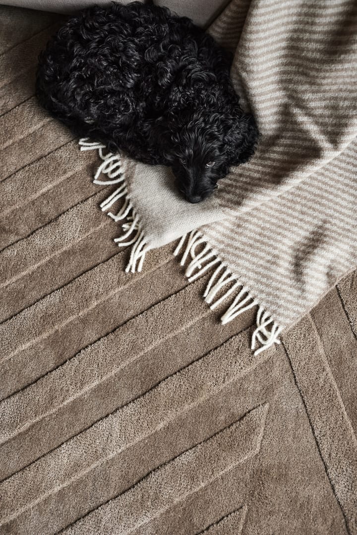 레벨스 울 러그 스트라이프 mole, 170x240 cm NJRD | 니오르