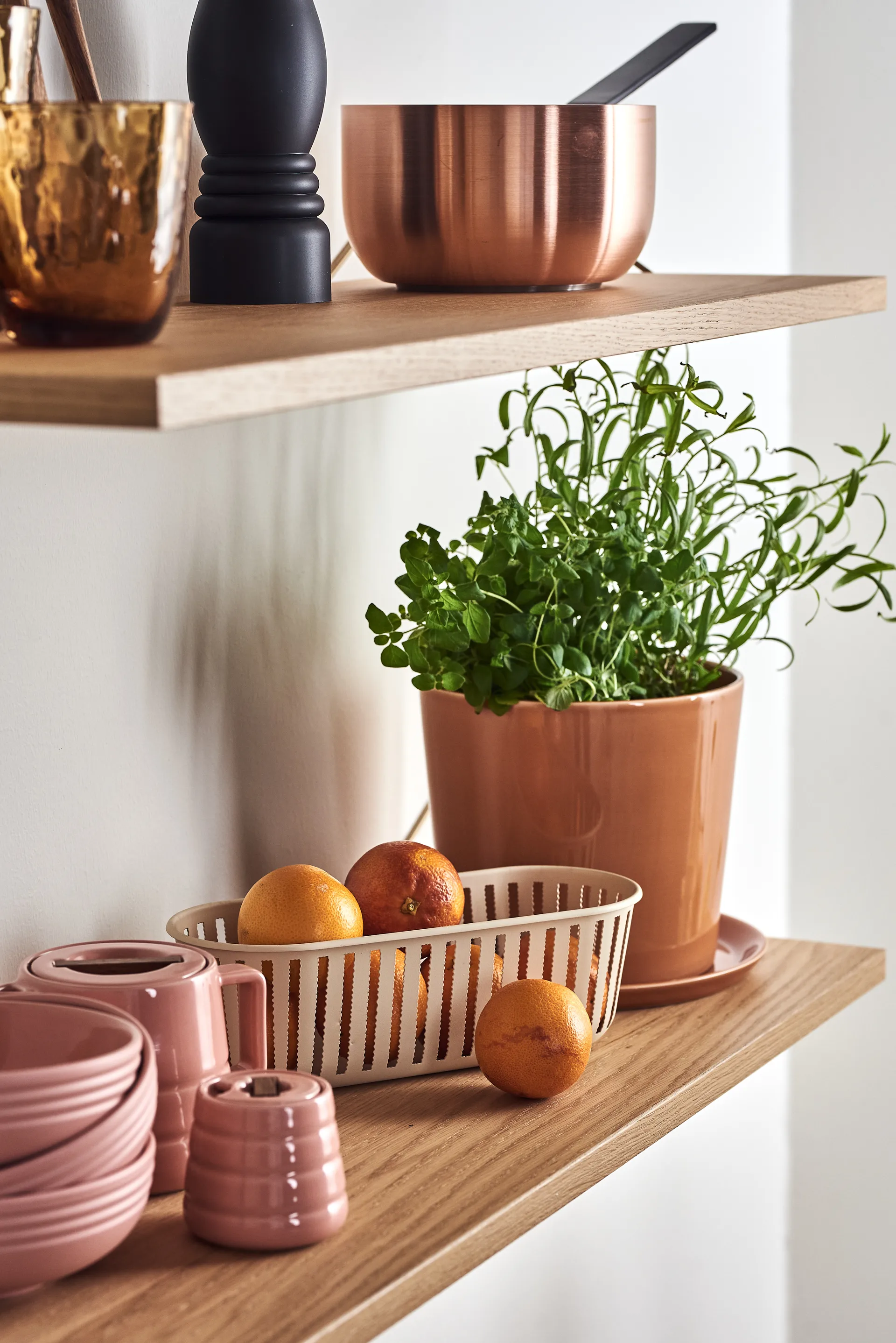 라인즈 슈가 보울, pink NJRD | 니오르