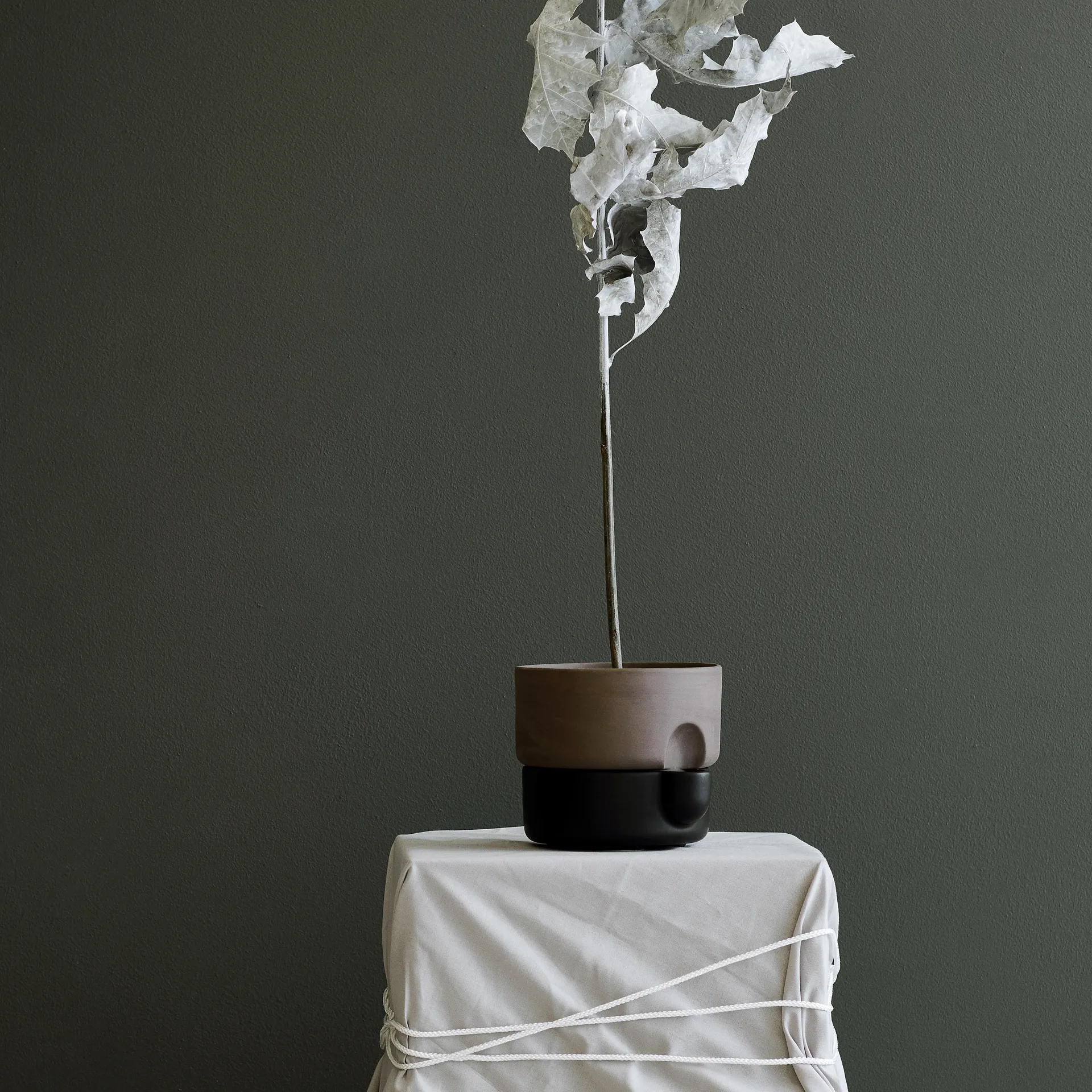 오아시스 자동 급수 화분 스몰 Ø15 cm, Black Northern | 노던