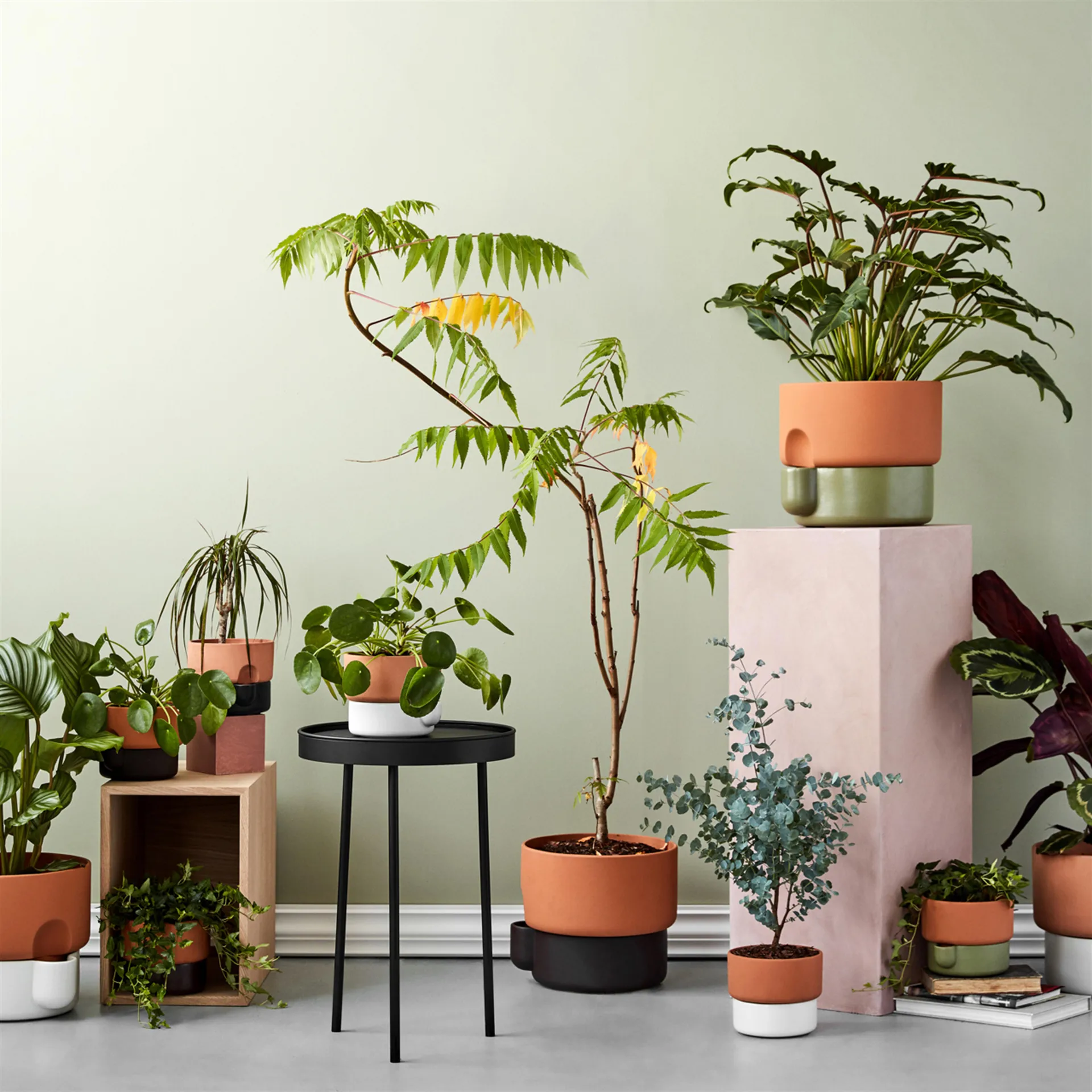 오아시스 자동 급수 화분 스몰 Ø15 cm, green Northern | 노던