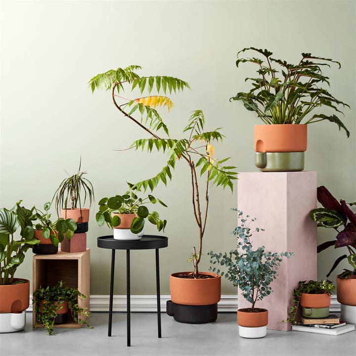 오아시스 자동 ��급수 화분 스몰 Ø15 cm, green Northern | 노던