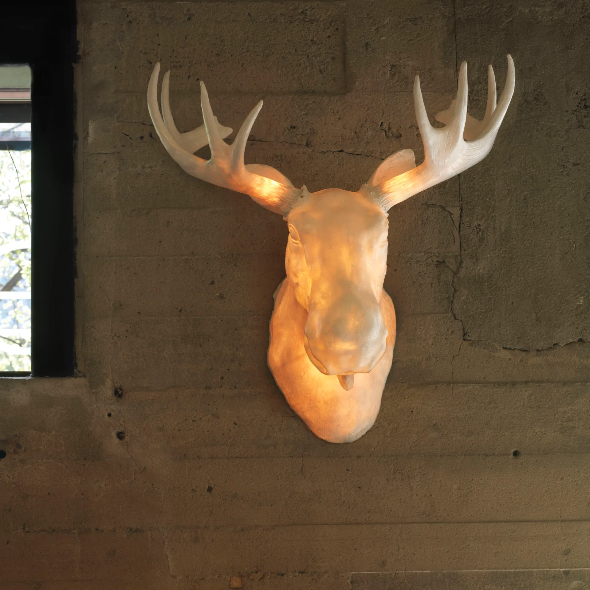 무 벽 조명, white Northern | 노던