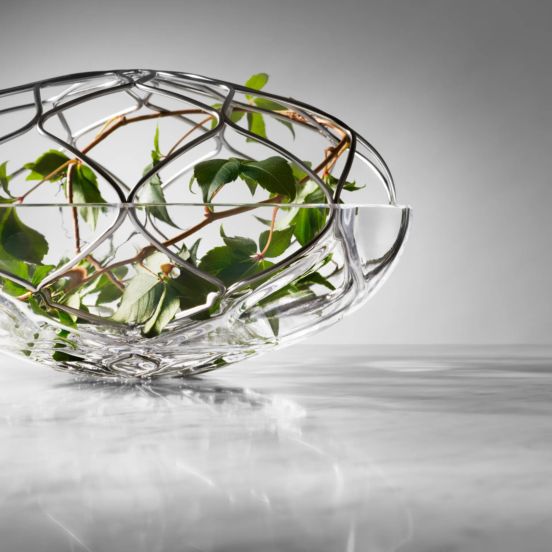 블룸 화병 23 cm, 23 cm Orrefors | 오레포스