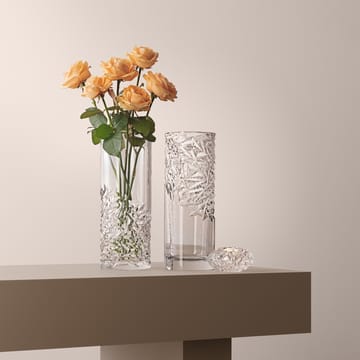 캐럿 화병 37 cm - high cut - Orrefors | 오레포스