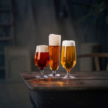 비어 테이스터 맥주잔 4개 세트 - 4개 세트 - Orrefors | 오레포스